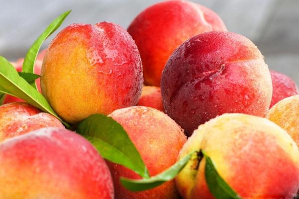 吃桃子會不會長胖 吃桃子要不要剝皮 吃桃子會不會長胖 吃桃子要不要剝皮