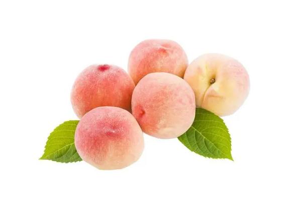 桃子要放冰箱儲(chǔ)存嗎 桃子要去皮去吃嗎 桃子要放冰箱儲(chǔ)存嗎 桃子要去皮去吃嗎