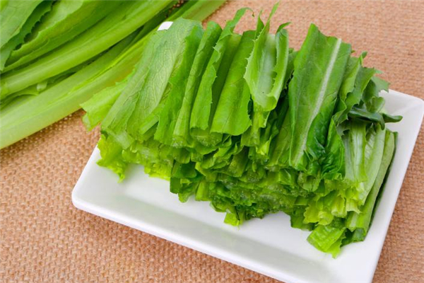 油麥菜的功效和作用 油麥菜可以減肥吃嗎 油麥菜的功效和作用 油麥菜可以減肥吃嗎