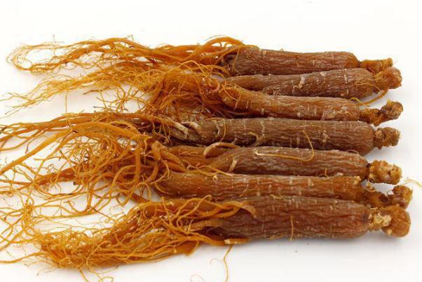 紅參對(duì)女性的功效與作用 紅參對(duì)男人的功效與作用 紅參對(duì)女性的功效與作用 紅參對(duì)男人的功效與作用