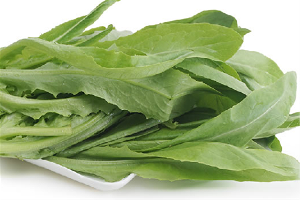 油麥菜發(fā)苦是怎么回事 油麥菜發(fā)苦能吃嗎 油麥菜發(fā)苦是怎么回事 油麥菜發(fā)苦能吃嗎