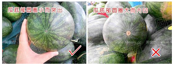 懷孕能吃西瓜嗎 孕婦能不能吃西瓜 懷孕能吃西瓜嗎 孕婦能不能吃西瓜