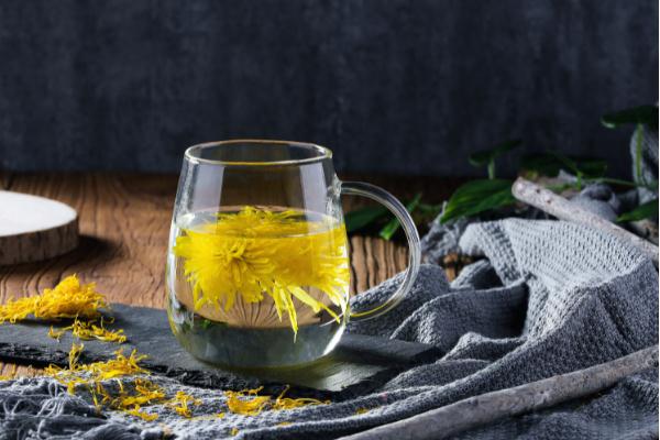 菊花茶小孩可以喝嗎 懷孕可以喝菊花茶嗎 菊花茶小孩可以喝嗎 懷孕可以喝菊花茶嗎