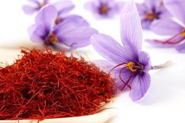 藏紅花可以天天喝嗎 藏紅花泡水一周喝幾次 藏紅花可以天天喝嗎 藏紅花泡水一周喝幾次