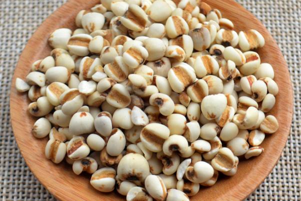 薏米要提前泡水嗎 薏米有股霉味正常嗎 薏米要提前泡水嗎 薏米有股霉味正常嗎