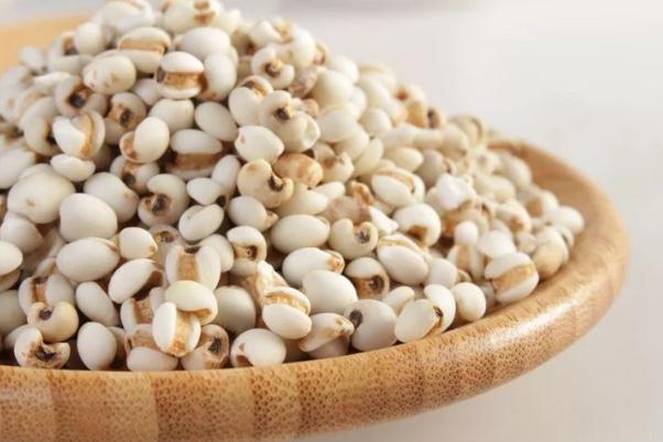 薏米對胃有傷害嗎 薏米對血糖有影響嗎 薏米對胃有傷害嗎 薏米對血糖有影響嗎