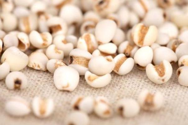 薏米對胃有傷害嗎 薏米對血糖有影響嗎 薏米對胃有傷害嗎 薏米對血糖有影響嗎