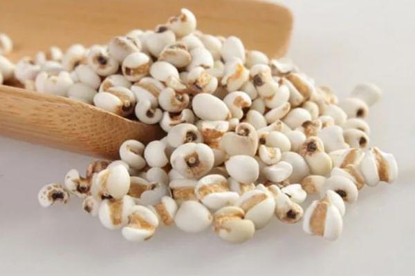 薏米要提前泡水嗎 薏米有股霉味正常嗎 薏米要提前泡水嗎 薏米有股霉味正常嗎