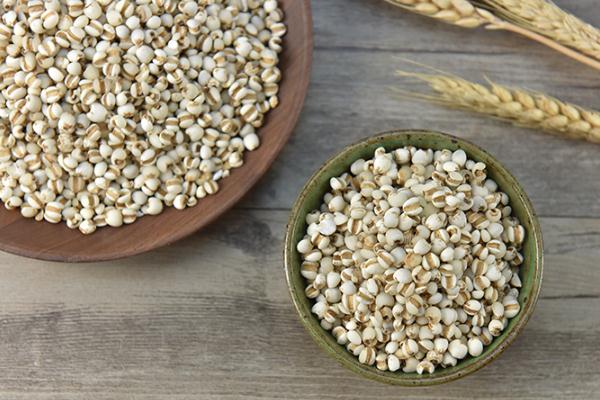 薏米對胃有傷害嗎 薏米對血糖有影響嗎 薏米對胃有傷害嗎 薏米對血糖有影響嗎