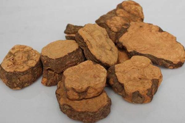 何首烏泡水喝的功效 何首烏泡水能經常喝嗎