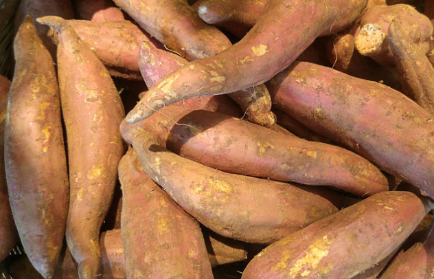 隔夜紅薯還能吃嗎 紅薯隔水蒸還是直接下水煮 隔夜紅薯還能吃嗎 紅薯隔水蒸還是直接下水煮