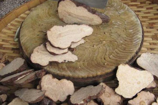 何首烏會過敏嗎 何首烏過敏什么癥狀 何首烏會過敏嗎 何首烏過敏什么癥狀