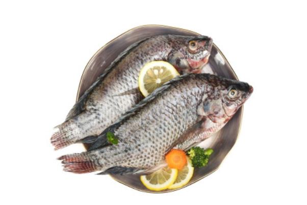 羅非魚可以生吃嗎 羅非魚可以清蒸嗎 羅非魚可以生吃嗎 羅非魚可以清蒸嗎