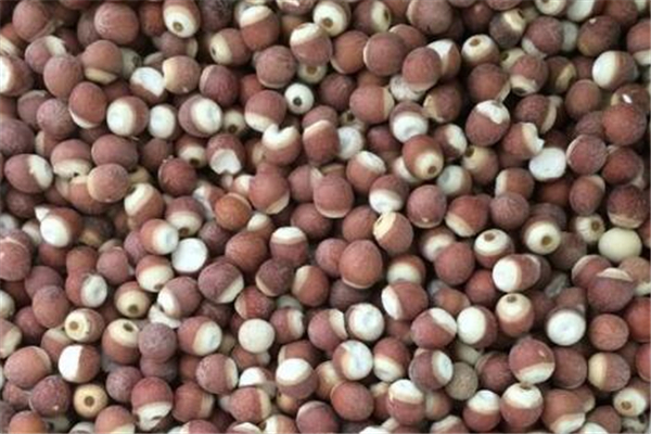 芡實(shí)有保質(zhì)期嗎 芡實(shí)保質(zhì)期是多長(zhǎng)時(shí)間 芡實(shí)有保質(zhì)期嗎 芡實(shí)保質(zhì)期是多長(zhǎng)時(shí)間