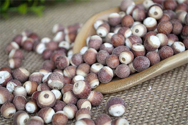 芡實(shí)的功效和作用 芡實(shí)是蔬菜還是水果 芡實(shí)的功效和作用 芡實(shí)是蔬菜還是水果