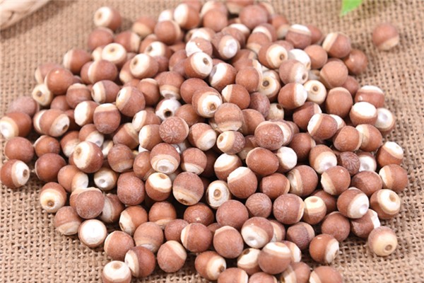 芡實(shí)為什么有的白色有的紅色 芡實(shí)紅的好還是白的好 芡實(shí)為什么有的白色有的紅色 芡實(shí)紅的好還是白的好