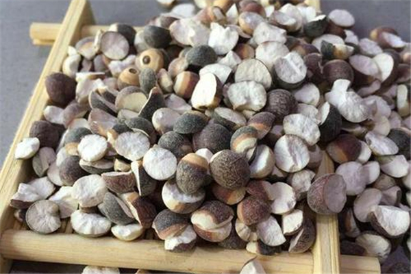 芡實(shí)有保質(zhì)期嗎 芡實(shí)保質(zhì)期是多長(zhǎng)時(shí)間 芡實(shí)有保質(zhì)期嗎 芡實(shí)保質(zhì)期是多長(zhǎng)時(shí)間