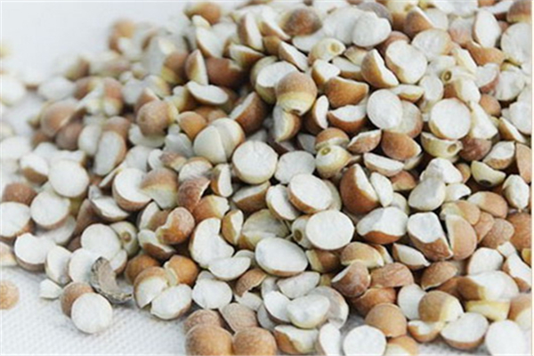 芡實(shí)為什么有的白色有的紅色 芡實(shí)紅的好還是白的好 芡實(shí)為什么有的白色有的紅色 芡實(shí)紅的好還是白的好