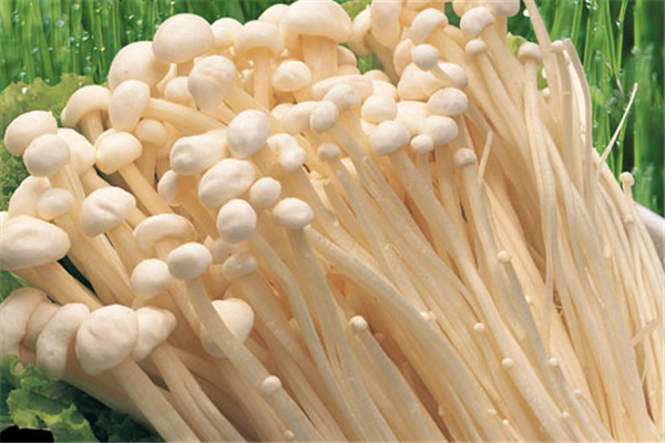 金針菇熱量高嗎 金針菇減肥可以吃嗎 金針菇熱量高嗎 金針菇減肥可以吃嗎