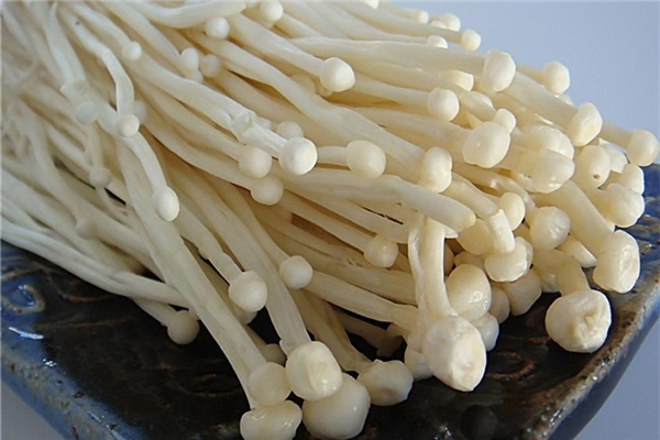 金針菇發(fā)黃了還能吃嗎 金針菇發(fā)黃是怎么回事 金針菇發(fā)黃了還能吃嗎 金針菇發(fā)黃是怎么回事