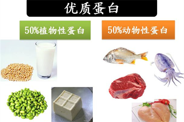 蛋白質減肥法會反彈嗎 蛋白質減肥法怎么吃