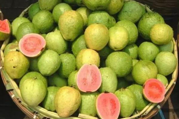 番石榴有蟲是怎么回事 孕婦吃了有蟲子的番石榴怎么辦 番石榴有蟲是怎么回事 孕婦吃了有蟲子的番石榴怎么辦