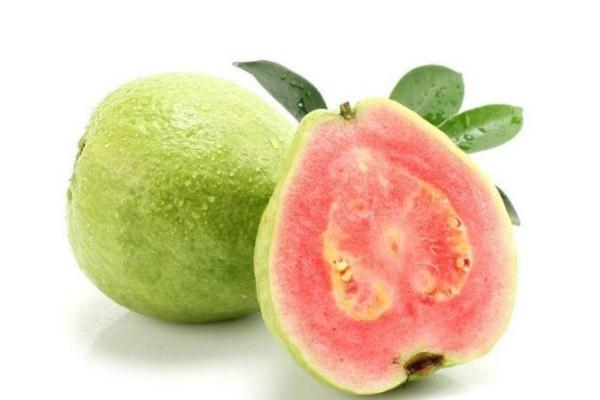 番石榴的皮能直接吃嗎 番石榴的皮有什么好處 番石榴的皮能直接吃嗎 番石榴的皮有什么好處