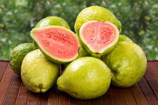 番石榴的籽能吃嗎 番石榴的籽很硬怎么吃 番石榴的籽能吃嗎 番石榴的籽很硬怎么吃