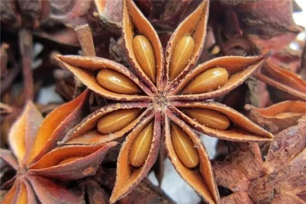 八角一次放多少 八角放多了怎么補救 八角一次放多少 八角放多了怎么補救