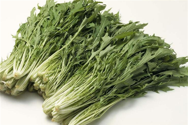 雪里紅是芥菜嗎 雪里紅屬于辛辣食物嗎 雪里紅是芥菜嗎 雪里紅屬于辛辣食物嗎