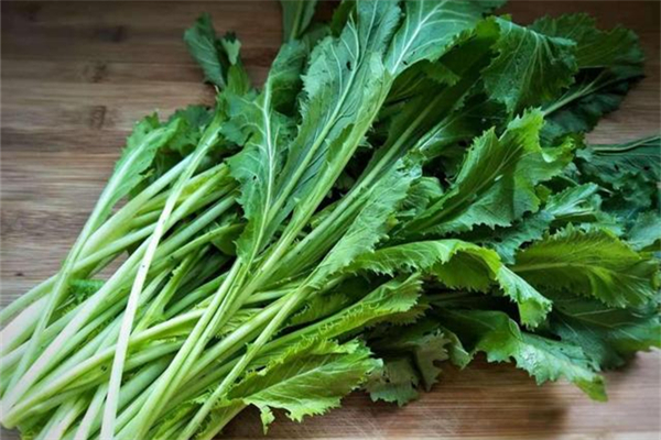 雪里紅是芥菜嗎 雪里紅屬于辛辣食物嗎 雪里紅是芥菜嗎 雪里紅屬于辛辣食物嗎