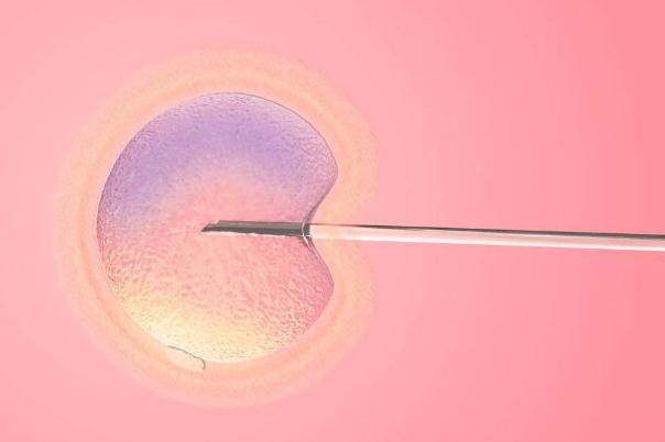 試管嬰兒要打什么針 試管嬰兒要打多少次針 試管嬰兒要打什么針 試管嬰兒要打多少次針