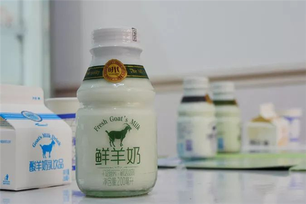 男孩喝鮮羊奶感染布魯氏菌病 鮮羊奶怎么煮能殺菌有豐富營養(yǎng) 男孩喝鮮羊奶感染布魯氏菌病 鮮羊奶怎么煮能殺菌有豐富營養(yǎng)