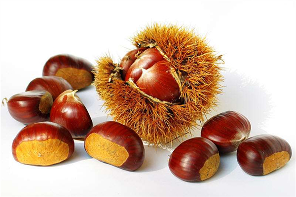 板栗怎么去皮和殼 板栗剝殼最快方法 板栗怎么去皮和殼 板栗剝殼最快方法