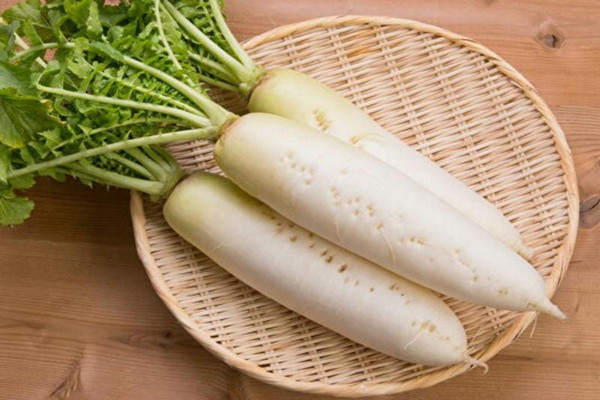 白蘿卜會解藥嗎 白蘿卜會不會脹氣 白蘿卜會解藥嗎 白蘿卜會不會脹氣