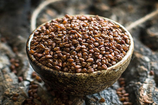 苦蕎茶會(huì)失眠嗎 苦蕎茶會(huì)不會(huì)上火 苦蕎茶會(huì)失眠嗎 苦蕎茶會(huì)不會(huì)上火