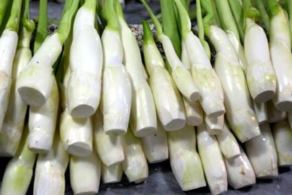 茭白會(huì)導(dǎo)致尿酸高嗎 茭白會(huì)導(dǎo)致過(guò)敏嗎