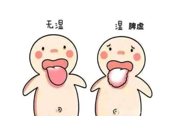 濕氣太重會掉頭發(fā)嗎 濕氣太重會不會長痘痘 濕氣太重會掉頭發(fā)嗎 濕氣太重會不會長痘痘