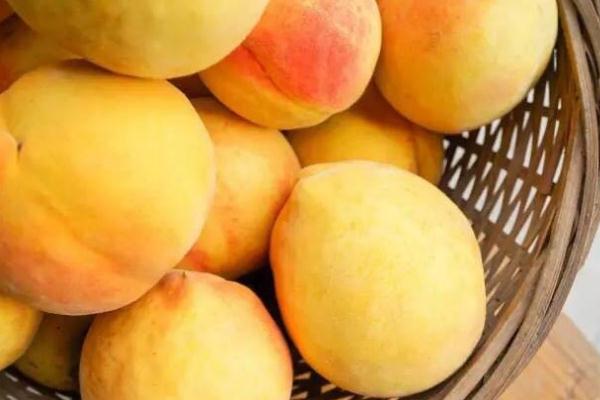 黃桃是發(fā)物嗎 黃桃是幾月份成熟的 黃桃是發(fā)物嗎 黃桃是幾月份成熟的