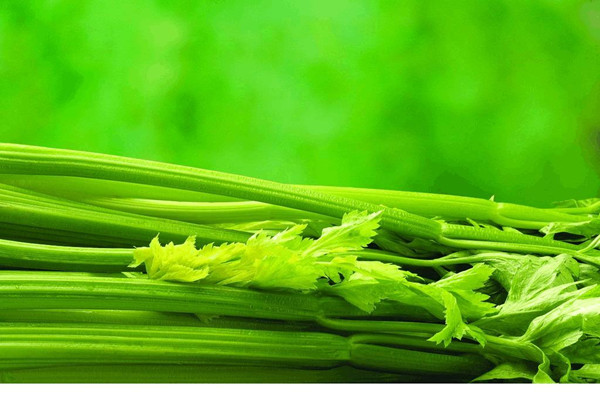 芹菜會(huì)過(guò)敏嗎 芹菜會(huì)讓人貧血嗎