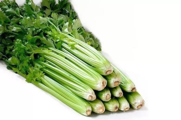 芹菜需不需要焯水 芹菜焯水一般幾分鐘 芹菜需不需要焯水 芹菜焯水一般幾分鐘