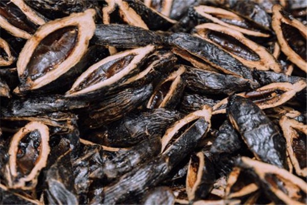 檳榔會導致胃癌嗎 檳榔會導致什么癌癥