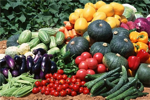 有機(jī)蔬菜會(huì)有蟲(chóng)子嗎 有機(jī)蔬菜會(huì)打農(nóng)藥嗎