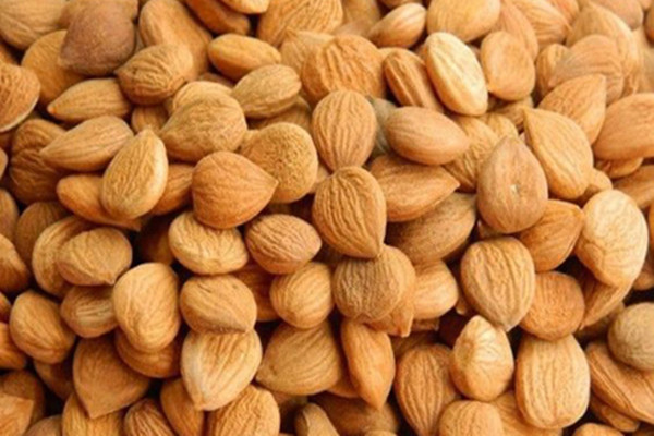 苦杏仁的功效與作用 苦杏仁的副作用 苦杏仁的功效與作用 苦杏仁的副作用