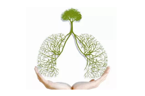 肺結(jié)核是什么病 肺結(jié)核是什么原因引起的 肺結(jié)核是什么病 肺結(jié)核是什么原因引起的