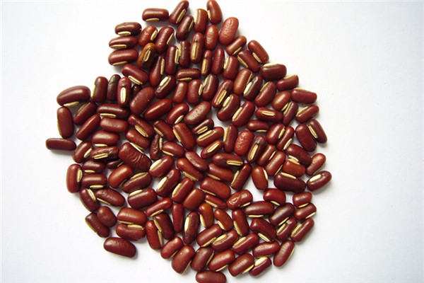 赤小豆有補(bǔ)血的功效嗎 赤小豆對女性的好處 赤小豆有補(bǔ)血的功效嗎 赤小豆對女性的好處