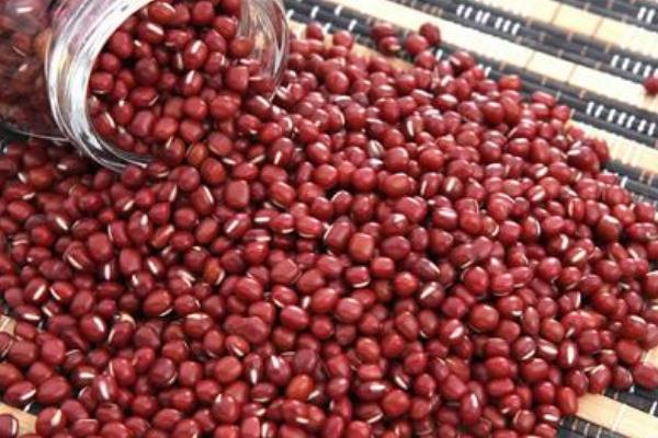 紅豆會上火嗎 紅豆會過敏嗎 紅豆會上火嗎 紅豆會過敏嗎