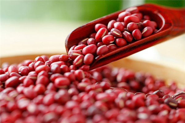 赤小豆有補(bǔ)血的功效嗎 赤小豆對女性的好處 赤小豆有補(bǔ)血的功效嗎 赤小豆對女性的好處