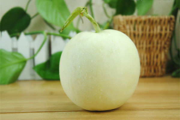 香瓜可以吃皮嗎 香瓜可以放冰箱嗎 香瓜可以吃皮嗎 香瓜可以放冰箱嗎