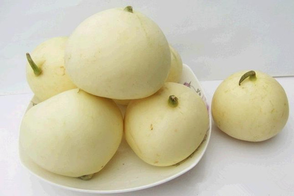 香瓜怎么看熟不熟 香瓜沒熟能吃嗎 香瓜怎么看熟不熟 香瓜沒熟能吃嗎